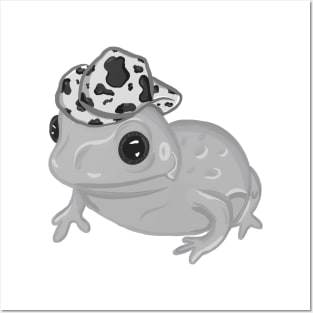 Gray Frog Wearing Cowboy Hat Posters and Art